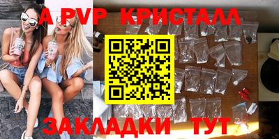 хмурый Тула