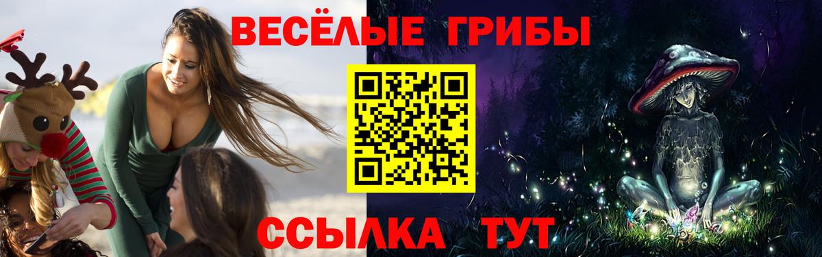 Азов  Галлюциногенные грибы Psilocybine cubensis  Вход с VPN  Галлюциногенные грибы MAGIC MUSHROOMS 